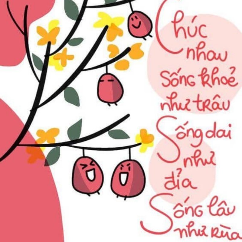 Chúc mọi người một năm mới đủ đầy, vui tươi và ý nghĩa!