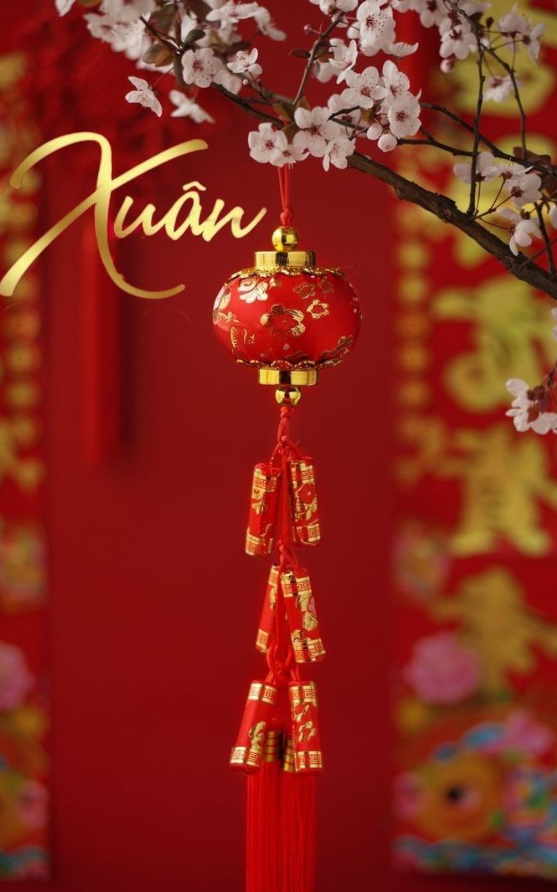 Hoa đào nở, xuân mới đến Hoa đào nở, xuân mới đến