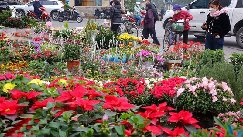 Chợ hoa Lạc Long Quân