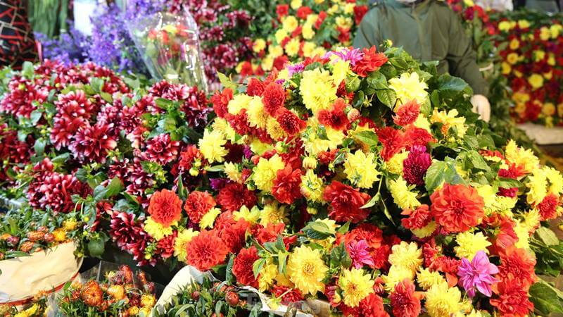 Chợ hoa Quảng Bá