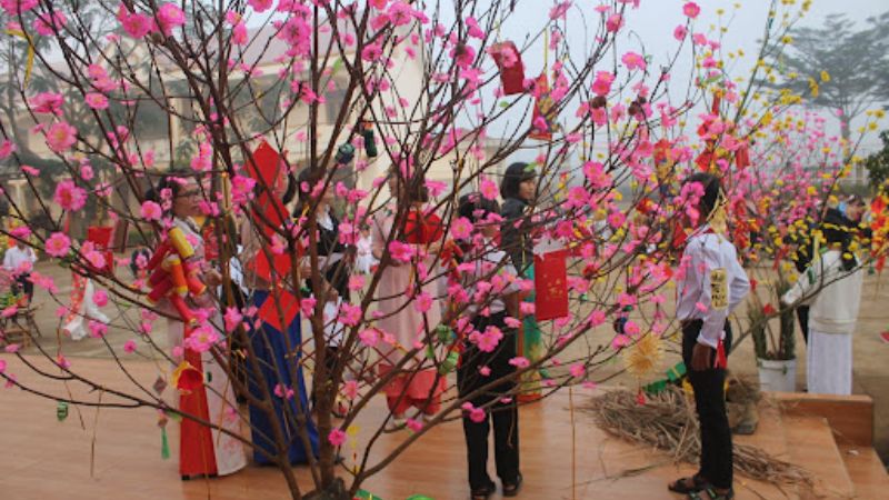 Trang trí lớp học ngày Tết với cành đào