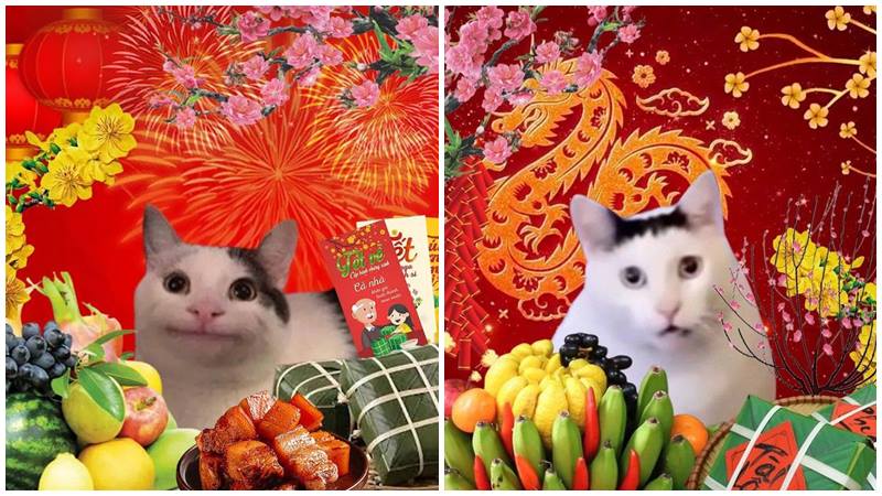 Cười muốn xỉu với bộ meme Tết 2025 siêu lầy lội Cười muốn xỉu với bộ meme Tết 2025 siêu lầy lội