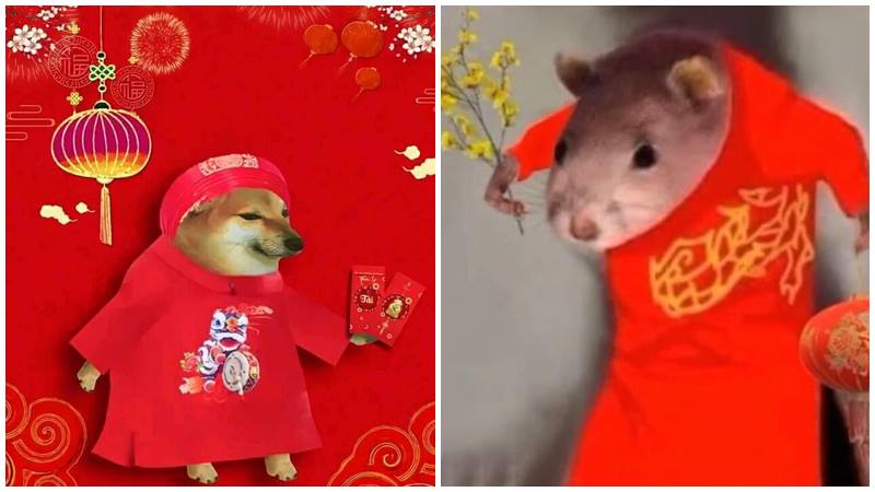 Tết là phải vui, còn meme Tết thì phải lầyẢnh Tết meme 2025 vui nhộn, hài hước nhất Tết là phải vui, còn meme Tết thì phải lầyẢnh Tết meme 2025 vui nhộn, hài hước nhất