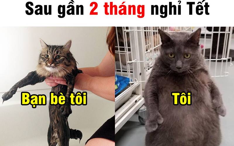 Tết nỗi lo lớn nhất không phải tiền mà là cân nặng Tết nỗi lo lớn nhất không phải tiền mà là cân nặng
