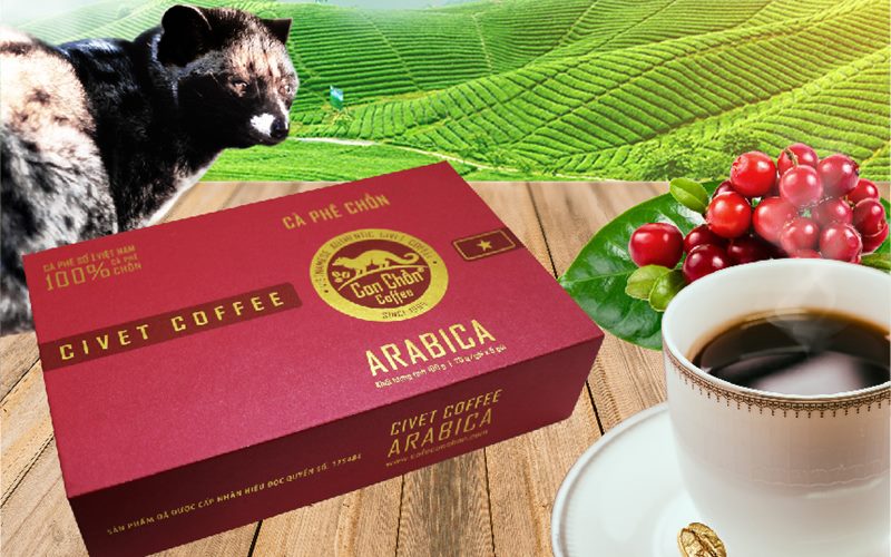Cà phê chồn arabica cao cấp hiệu Con Chồn