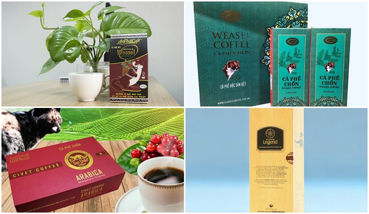 Top 8 thương hiệu cà phê chồn ngon, chất lượng được nhiều người yêu thích