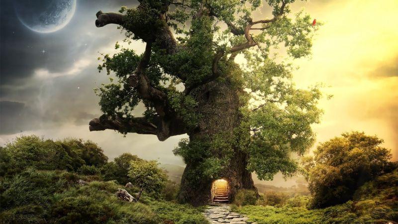 Mệnh Mộc tương sinh - khắc với tuổi nào?