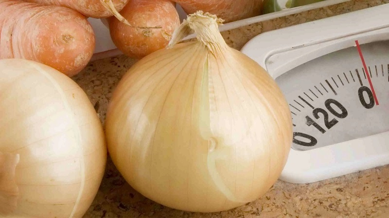 Cách bảo quản và sử dụng hành tây vàng Hà Lan