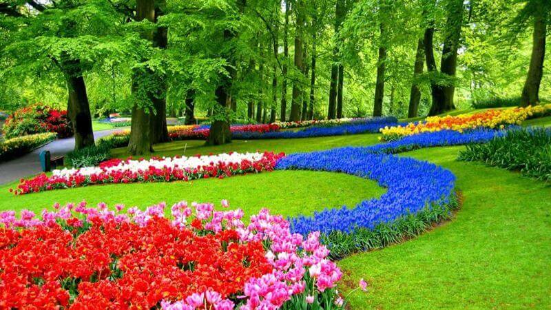 Công viên hoa Nhật Bản – Hà Nội