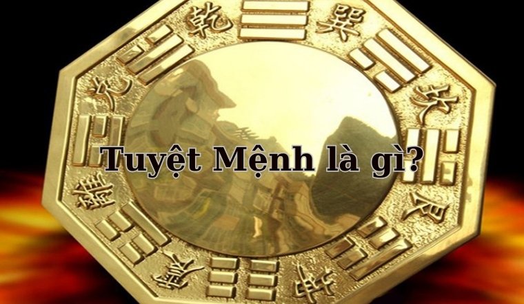 Tuyệt Mệnh là gì? Ảnh hưởng của Tuyệt Mệnh với cuộc sống 