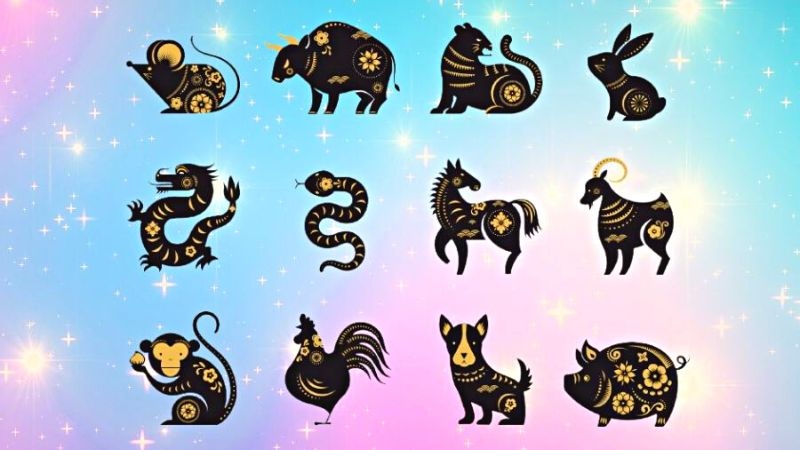 Mệnh Thái Dương ở các cung khác nhau