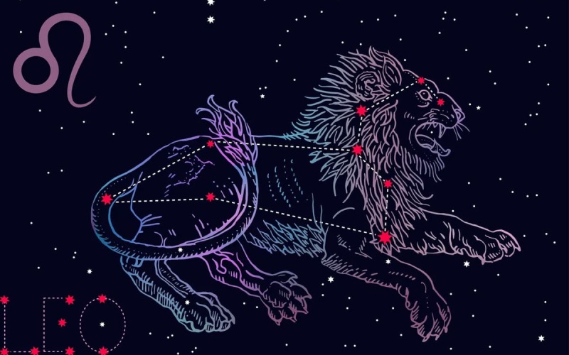 Cung Sư Tử (23/7 - 22/8)