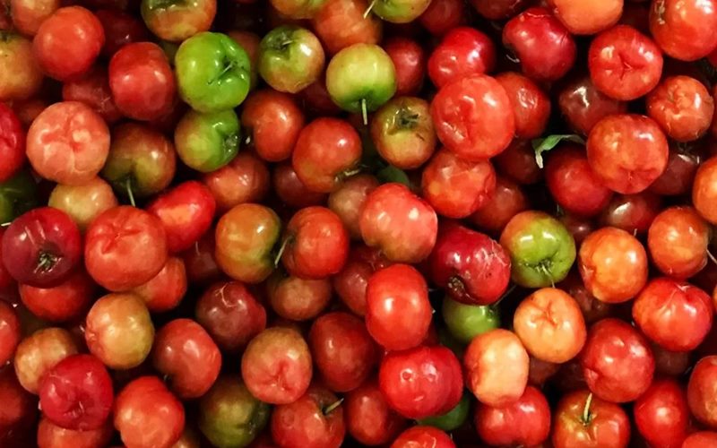 Lợi ích khi bà bầu ăn sơ ri Lợi ích khi bà bầu ăn sơ ri