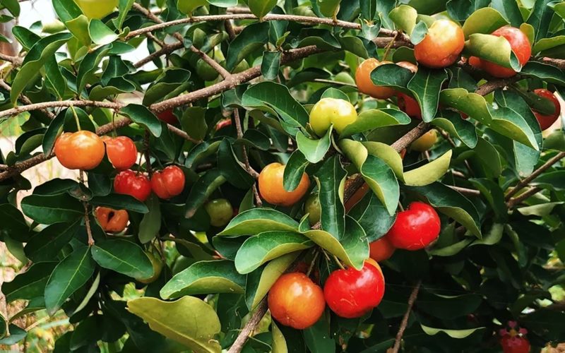 Những câu hỏi thường gặp Những câu hỏi thường gặp