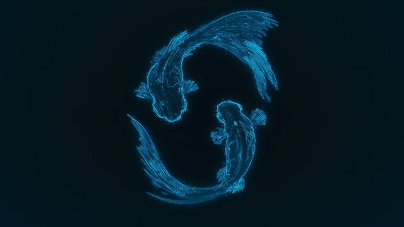 Song Ngư