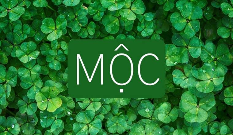 BST 30 hình nền may mắn cho mệnh Mộc để máy tính, điện thoại