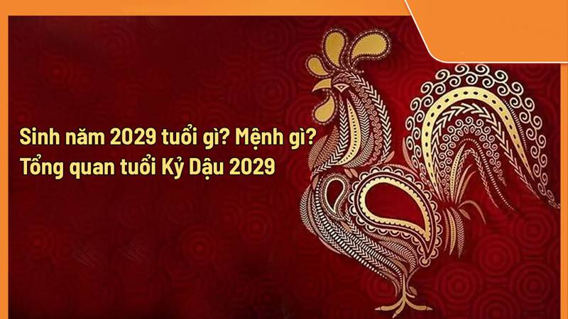 Kỷ Dậu sinh năm 2029 hợp và kỵ màu gì?