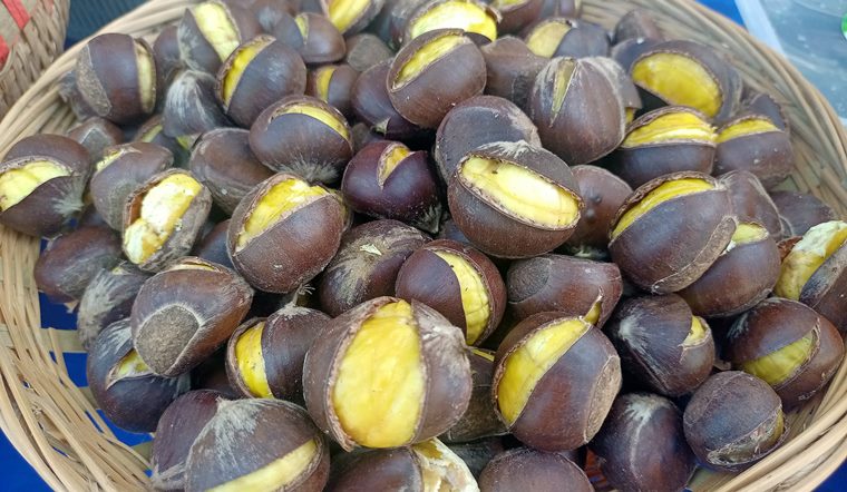 Bà bầu ăn hạt dẻ được không? Lợi ích khi bà bầu ăn hạt dẻ