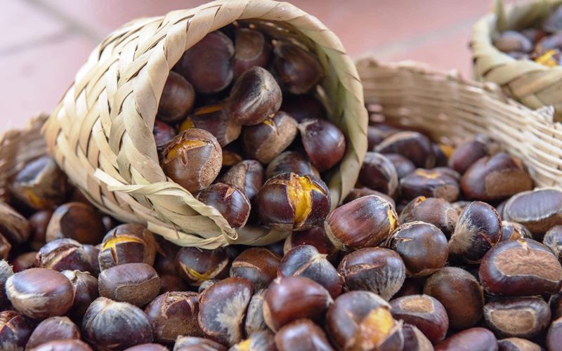 Những lưu ý khi bà bầu ăn hạt dẻ