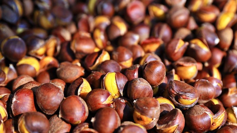Bà bầu có thể ăn hạt dẻ