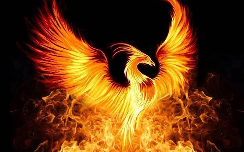 Phượng hoàng lửa trên nền trời đêm