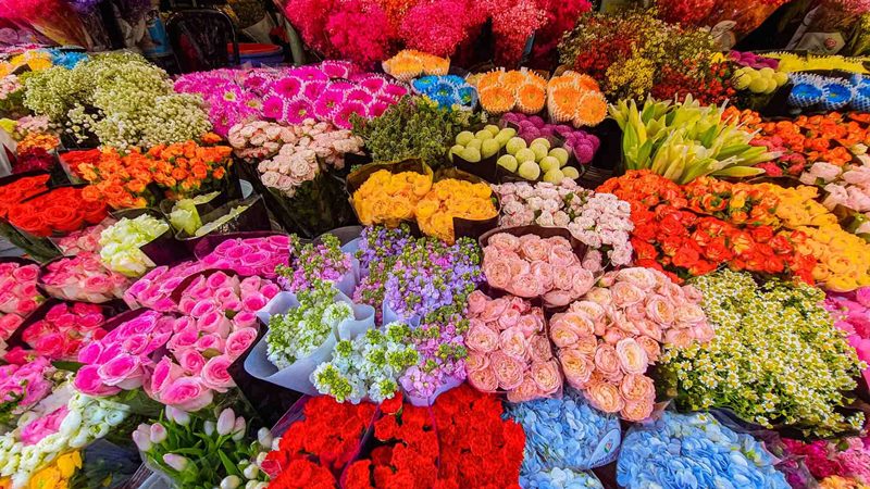 Khám Phá 8 Thiên Đường Hoa Sắc Màu Tại Hà Nội 11 hoa