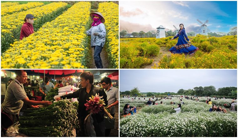 Khám phá 6 vườn hoa đẹp nhất Hà Nội để 'sống ảo'