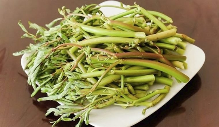 Bà bầu ăn rau nhút (rau rút) được không? Nên lưu ý gì khi ăn?