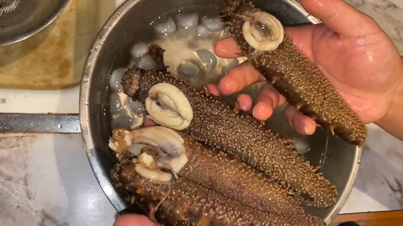 Ngâm hải sâm với nước đá lạnh