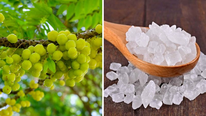 Nguyên liệu làm rượu chùm ruột