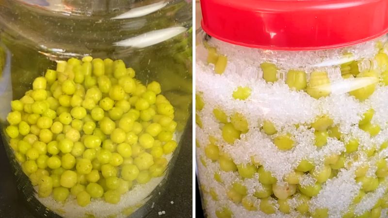 Ngâm rượu chùm ruột