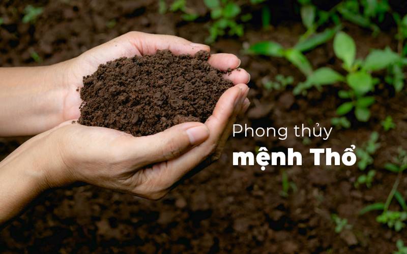 Mệnh Thổ khắc mệnh gì?