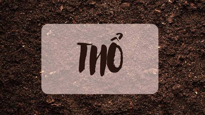 Tổng quan về người mệnh Thổ