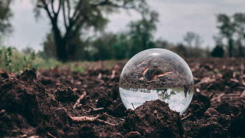 Những câu hỏi thường gặp