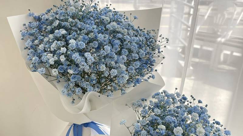 Hoa baby: Lòng biết ơn và sự ngây thơ Hoa baby: Lòng biết ơn và sự ngây thơ