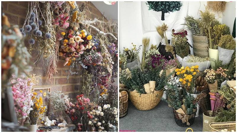 Cách chọn và bảo quản hoa khô Cách chọn và bảo quản hoa khô