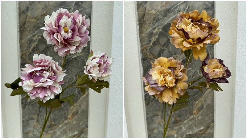 Hoa mẫu đơn khô: Sự phồn vinh và vẻ đẹp tao nhã Hoa mẫu đơn khô: Sự phồn vinh và vẻ đẹp tao nhã