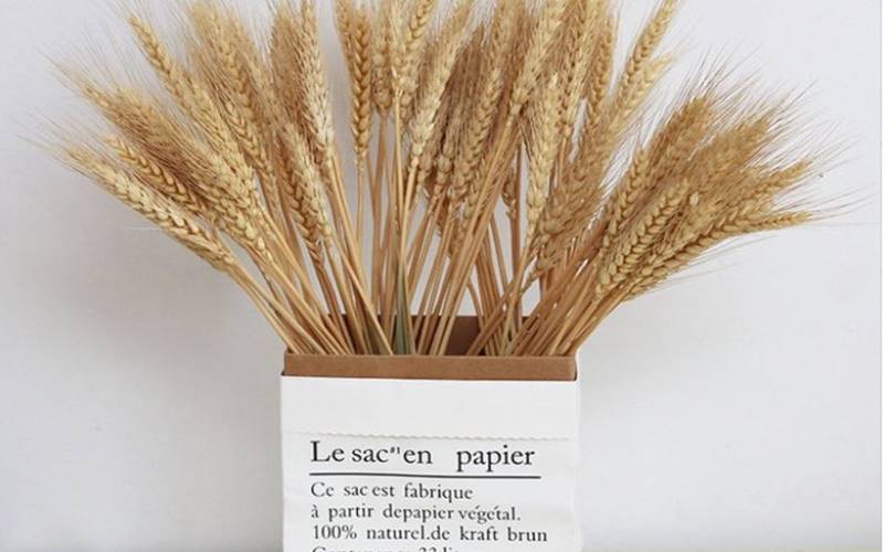 Cành lúa khô: Cuộc sống ấm no, thịnh vượng Cành lúa khô: Cuộc sống ấm no, thịnh vượng