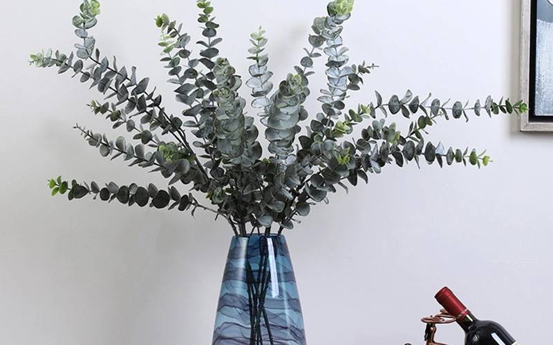 Cành khuynh diệp khô: Sức khỏe và chữa lành Cành khuynh diệp khô: Sức khỏe và chữa lành