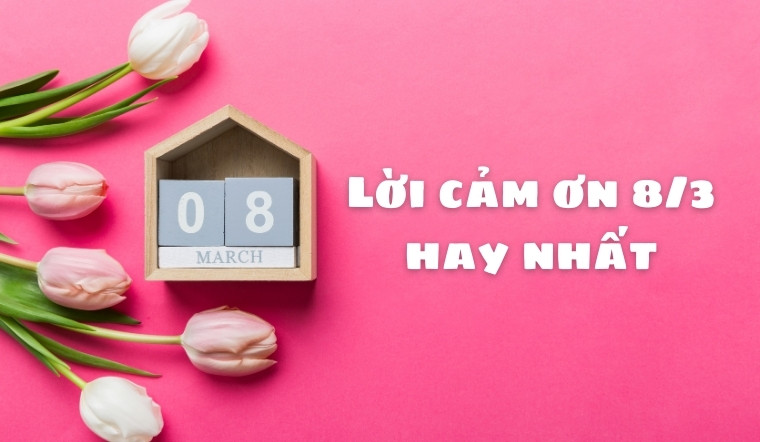 Tuyển tập 60+ lời cảm ơn 8/3 ý nghĩa, chân thành nhất