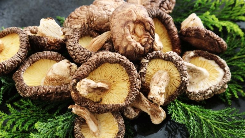 Nấm đông cô với nấm hương có phải là một?