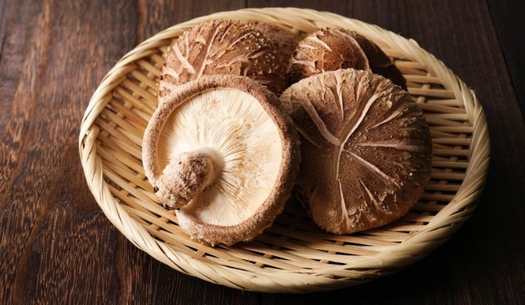 Nấm đông cô với nấm hương có giống nhau không?