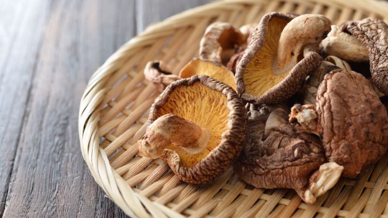 Nguyên nhân gây mốc nấm hương Nguyên nhân gây mốc nấm hương