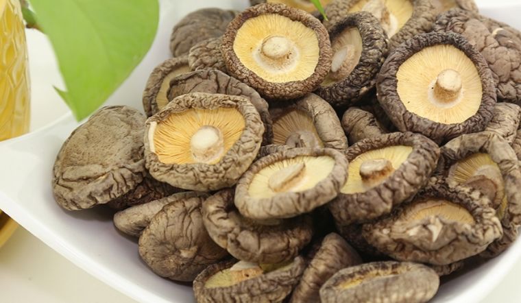 Nấm hương bị mốc có ăn được không? Cách bảo quản nấm hương