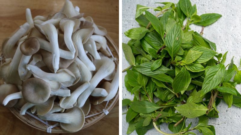 Nguyên liệu làm món nấm bào ngư xào chay