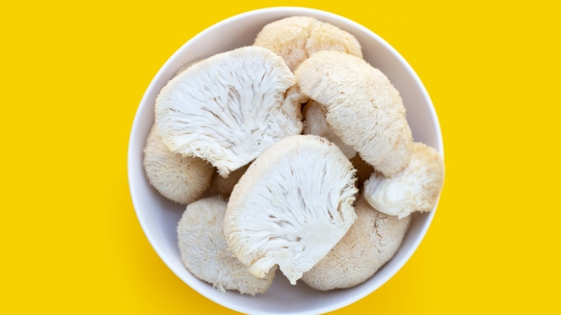 Lưu ý khi sử dụng nấm hầu thủ