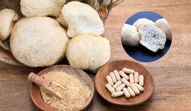 Nấm hầu thủ là gì? Tất tần tất về nấm hầu thủ