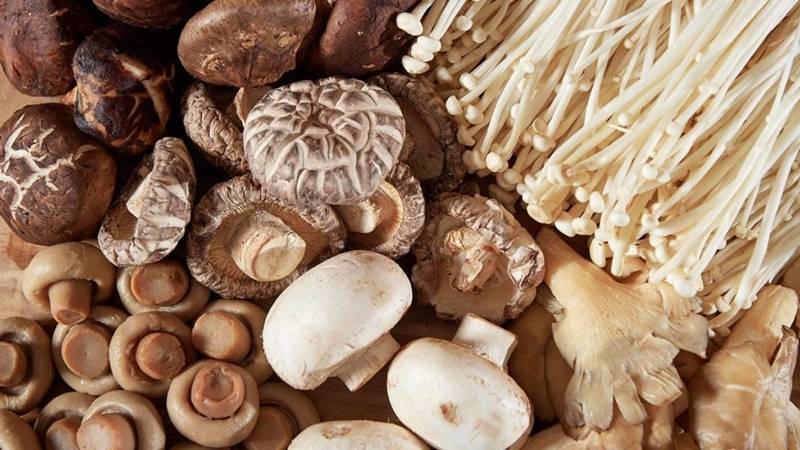 Cách chọn mua nấm tươi ngon Cách chọn mua nấm tươi ngon