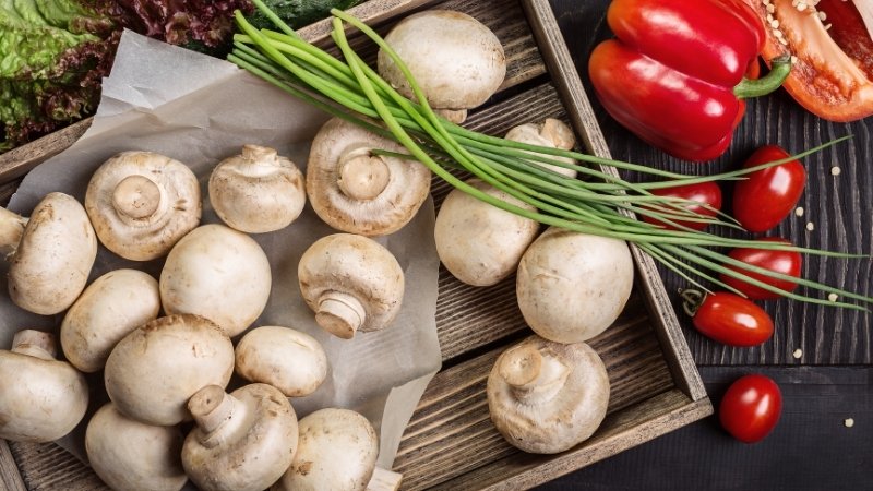 Cách chế biến và bảo quản nấm trắng