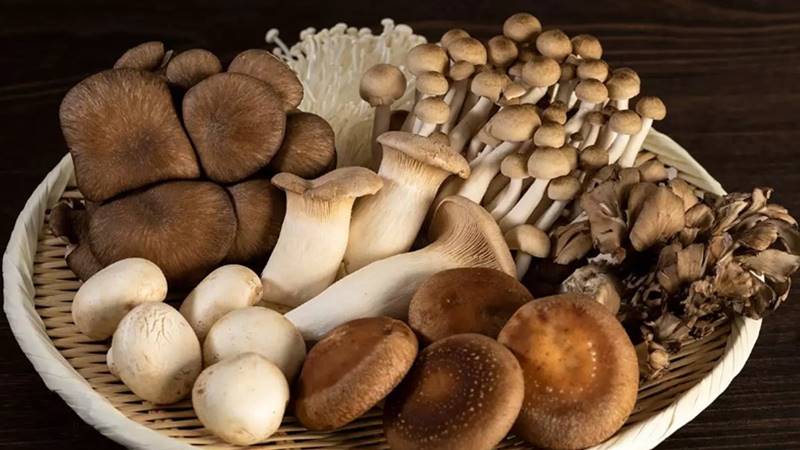 Nấm bao nhiêu calo?